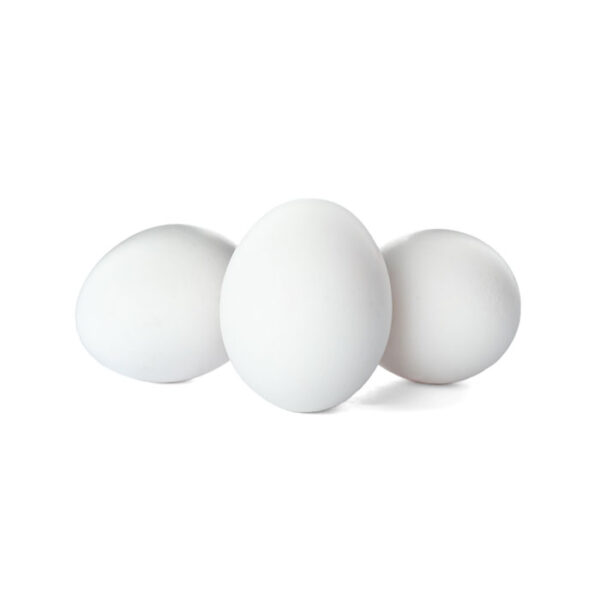 Chicken Eggs (White)