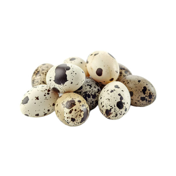 Quail Eggs